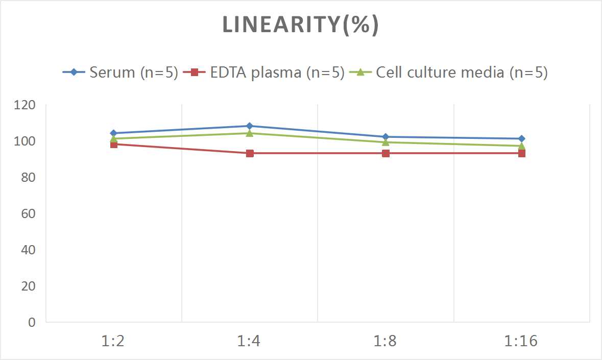Rat E-Cadherin ELISA Kit (Colorimetric)