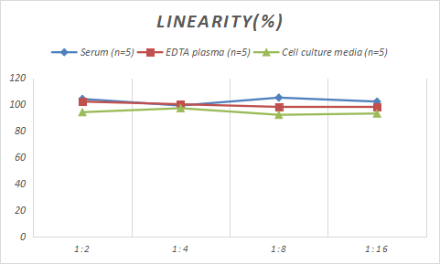 Rabbit CXCL16 ELISA Kit (Colorimetric)