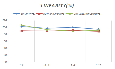 Rat IRE1 alpha ELISA Kit (Colorimetric)