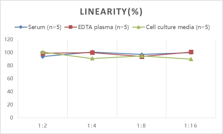 Mouse Abeta 42 ELISA Kit (Colorimetric)