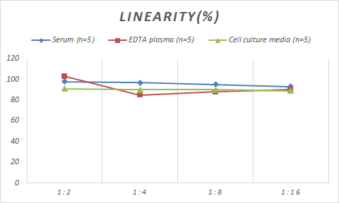 Human Ribosomal protein L26 ELISA Kit (Colorimetric)