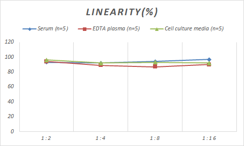 Human visinin-like 1 ELISA Kit (Colorimetric)