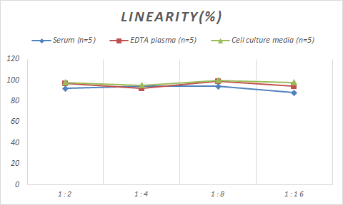 Monkey GAD2/GAD65 ELISA Kit (Colorimetric)