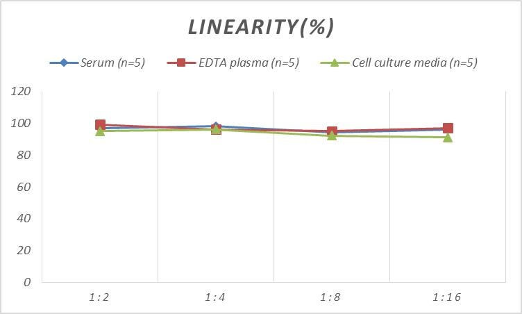 Monkey Ferritin ELISA Kit (Colorimetric)