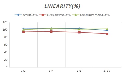 Porcine Gastrin ELISA Kit (Colorimetric)