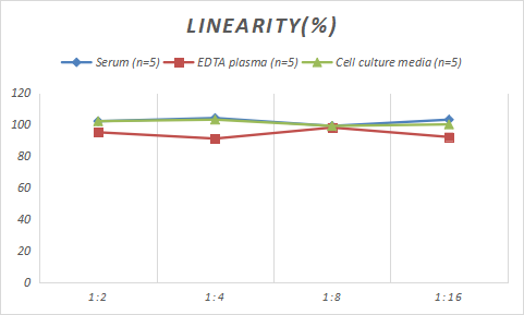 Sheep Ferritin ELISA Kit (Colorimetric)
