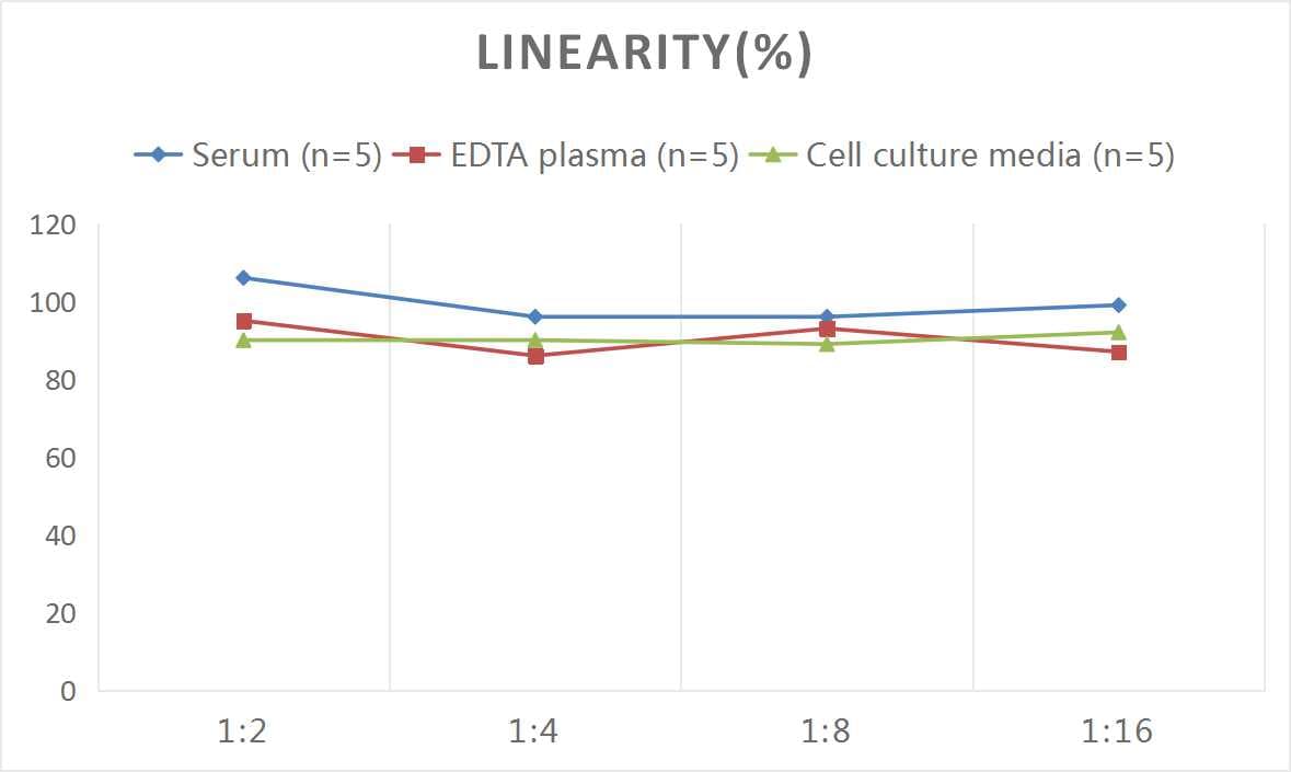 Rat Galanin ELISA Kit (Colorimetric)