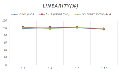 Monkey Gas6 ELISA Kit (Colorimetric)