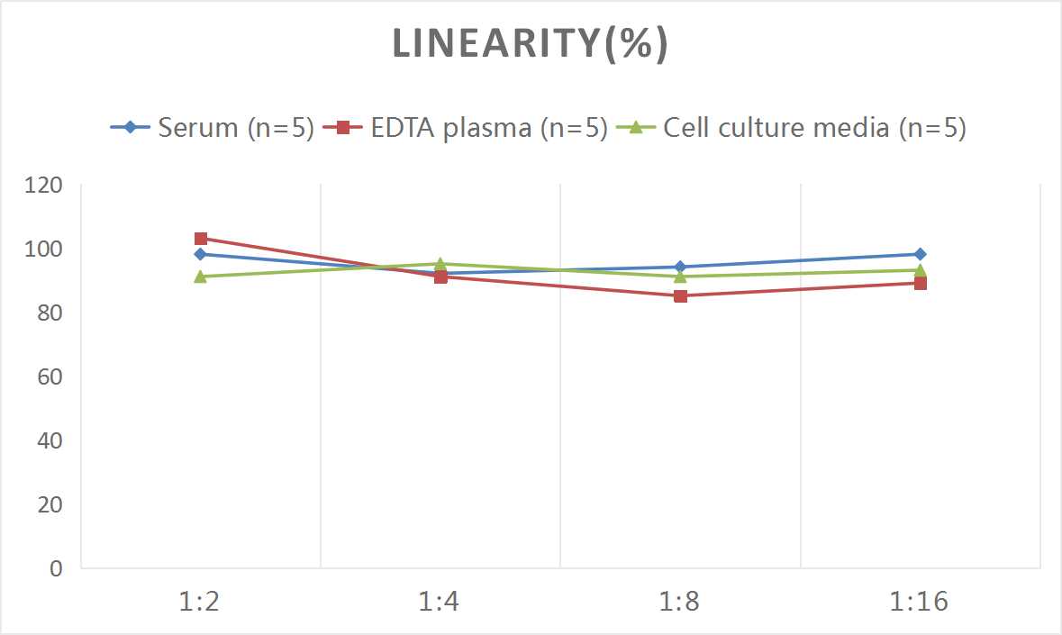 Rat G-CSF ELISA Kit (Colorimetric)