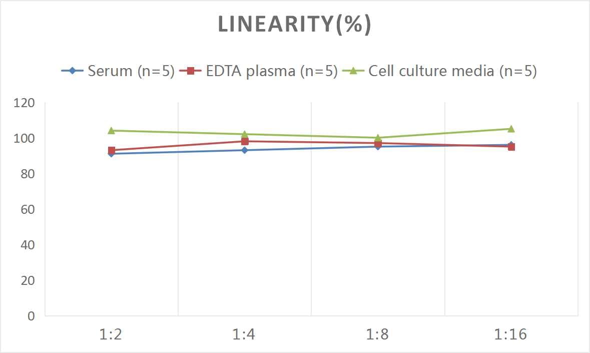 Rat Ghrelin ELISA Kit (Colorimetric)