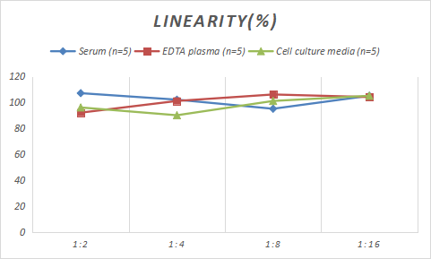 Rat beta Galactosidase ELISA Kit (Chemiluminescence)