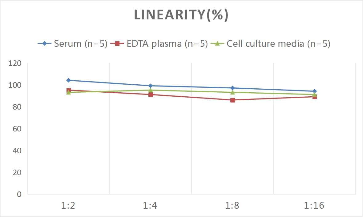 Rat beta-Glucuronidase/GUSB ELISA Kit (Colorimetric)