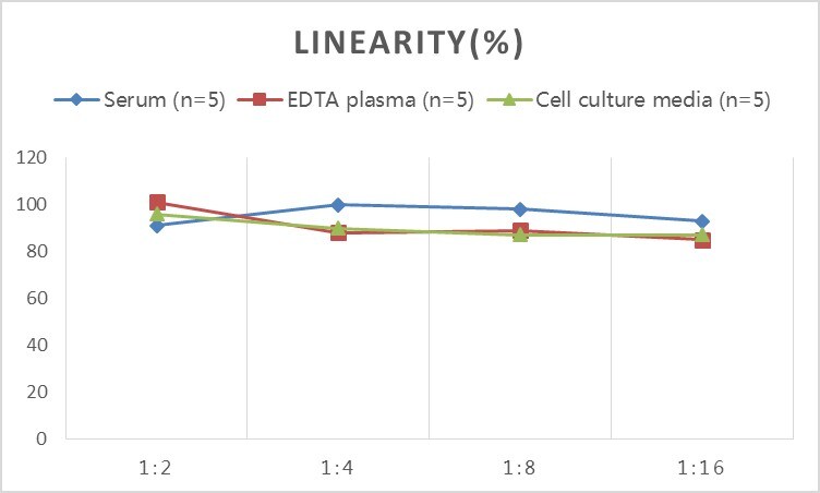 Human Hip ELISA Kit (Colorimetric)