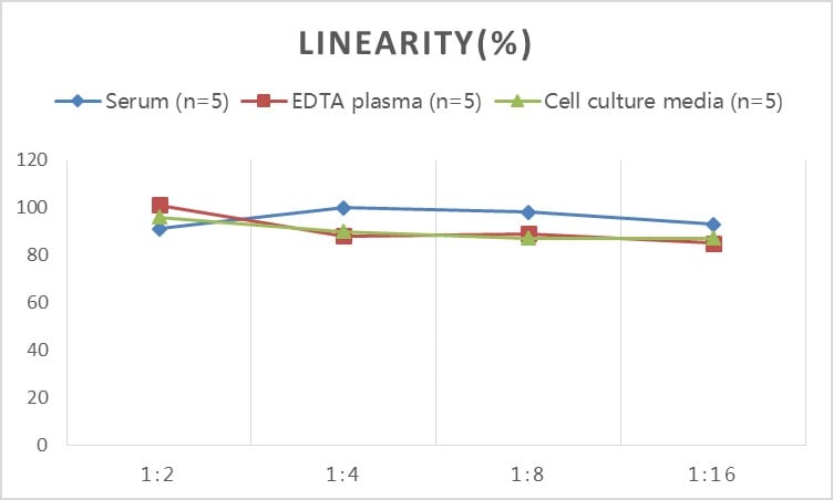 Human Hip ELISA Kit (Colorimetric)
