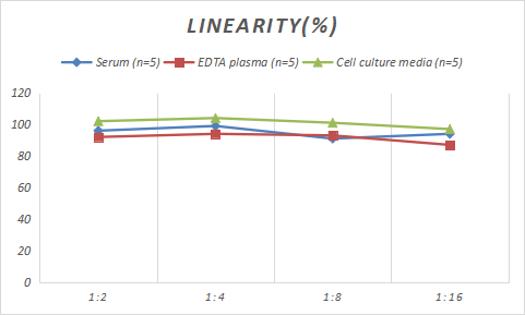 Sheep IgA ELISA Kit (Colorimetric)