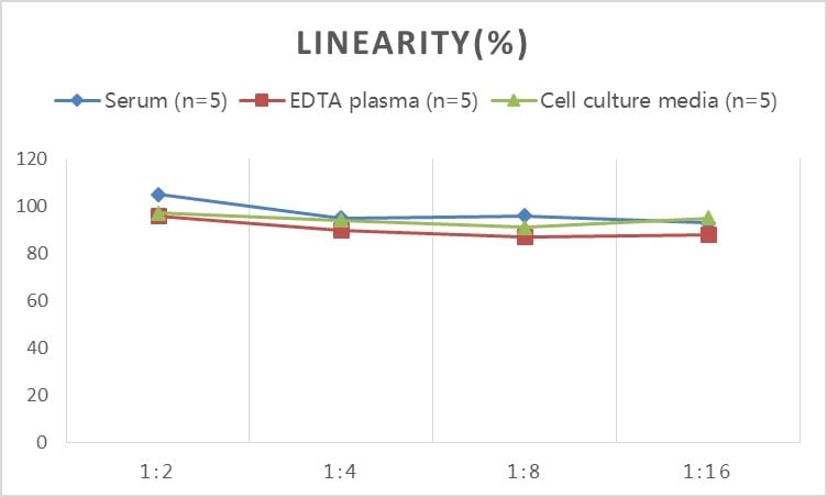Rat Lactate Dehydrogenase A/LDHA ELISA Kit (Colorimetric)