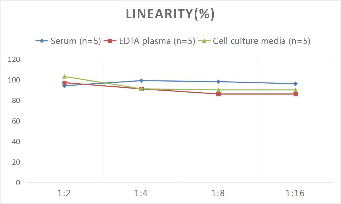 Mouse IRF5 ELISA Kit (Colorimetric)