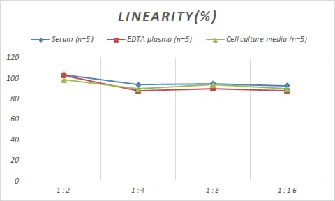 Human MVP ELISA Kit (Colorimetric)