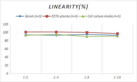 Porcine MBP ELISA Kit (Colorimetric)
