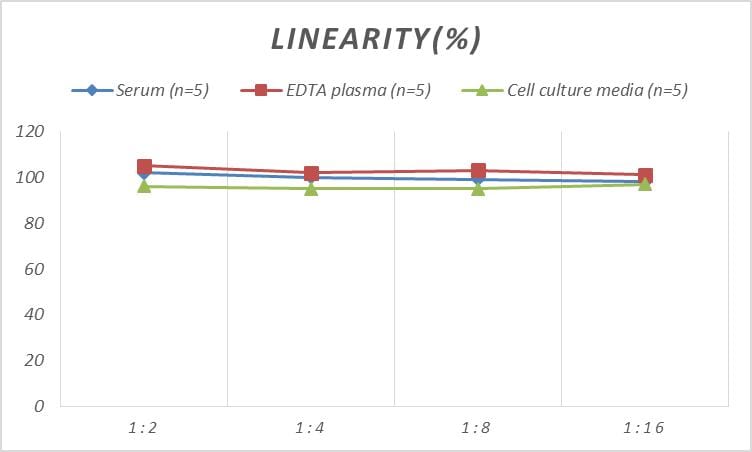 Monkey CCL2/JE/MCP-1 ELISA Kit (Colorimetric)