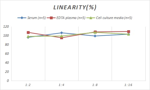 Mouse MHC Class I ELISA Kit (Chemiluminescence)