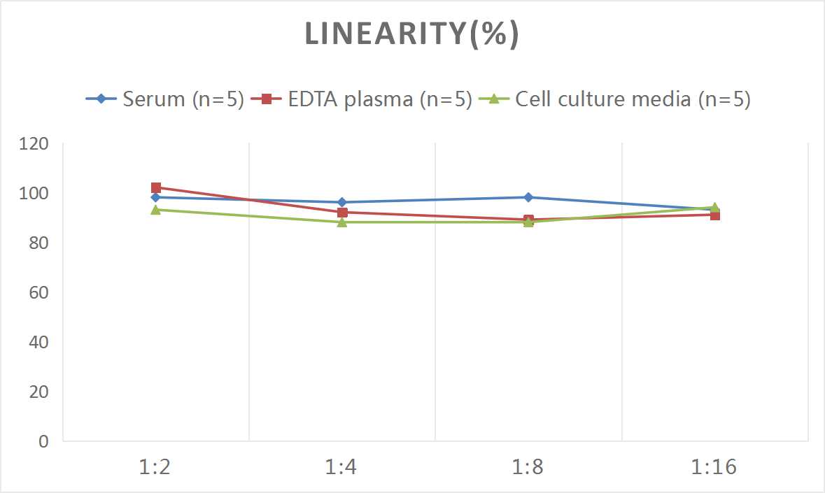Rat MIF ELISA Kit (Colorimetric)