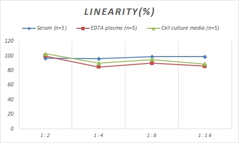 Human NFkB1/NFkB p105 ELISA Kit (Colorimetric)