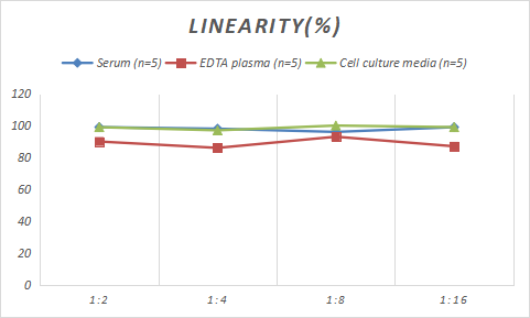 Rat N-MID Osteocalcin ELISA Kit (Colorimetric)