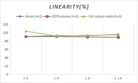 Rat Ornithine Decarboxylase ELISA Kit (Colorimetric)