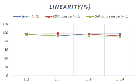 Monkey Oncostatin M/OSM ELISA Kit (Colorimetric)