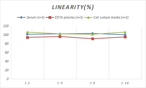 Rabbit Serpin F1/PEDF ELISA Kit (Colorimetric)