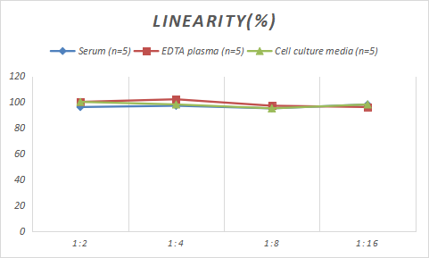 Rabbit PlGF ELISA Kit (Colorimetric)