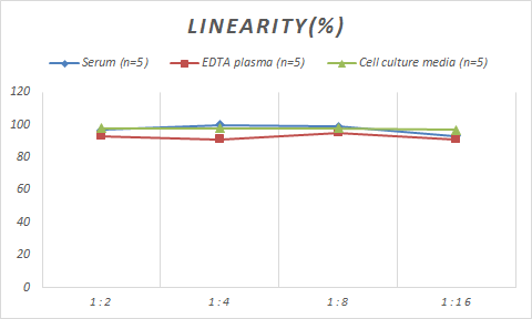 Porcine Pancreatic Polypeptide/PP ELISA Kit (Colorimetric)