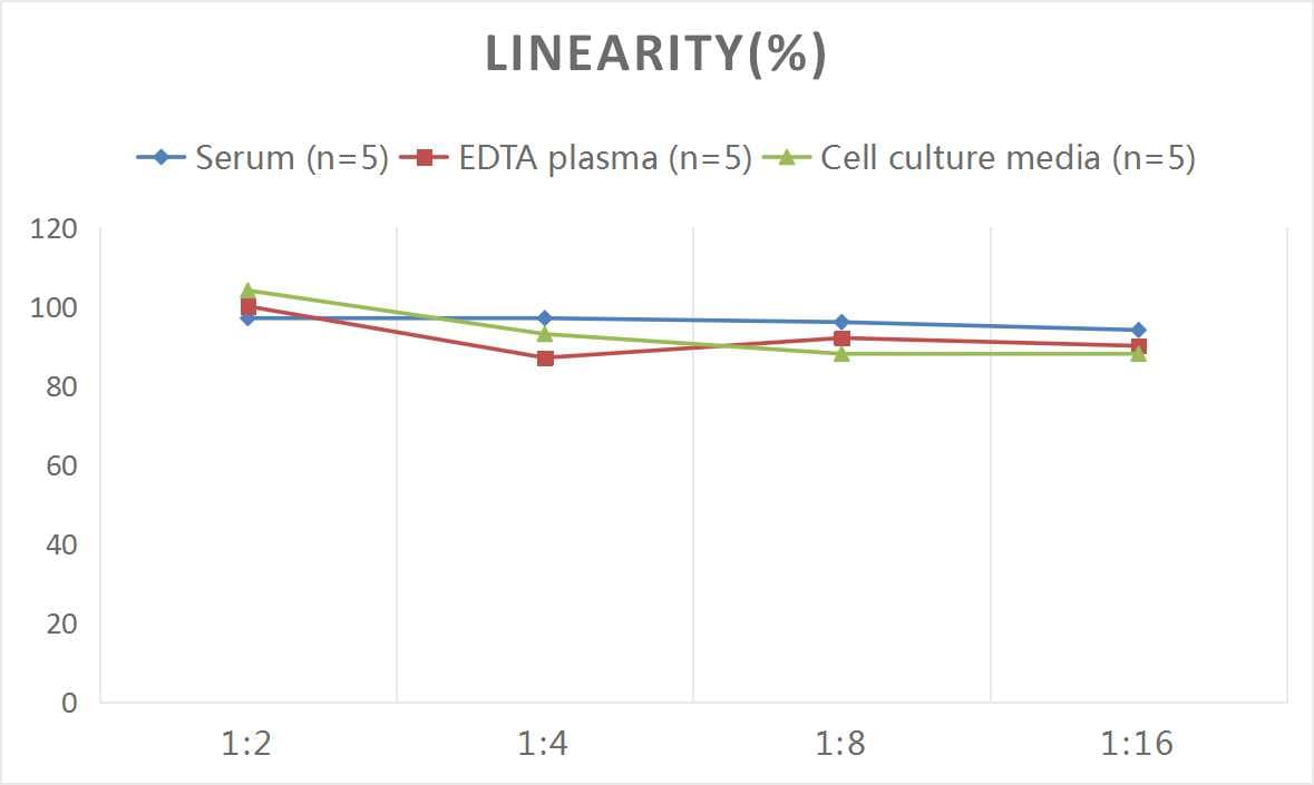 Mouse Kallikrein 3/PSA ELISA Kit (Colorimetric)