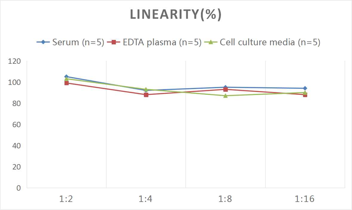 Rat COX-2 ELISA Kit (Colorimetric)
