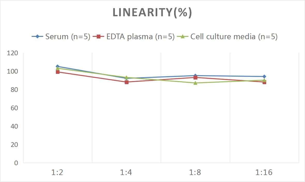 Rat COX-2 ELISA Kit (Colorimetric)