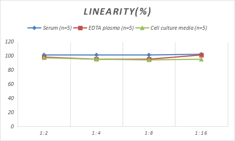 Rabbit S100B ELISA Kit (Colorimetric)