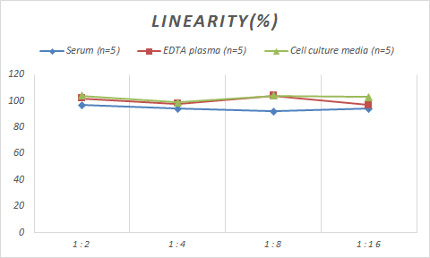 Monkey CXCL12/SDF-1 ELISA Kit (Colorimetric)