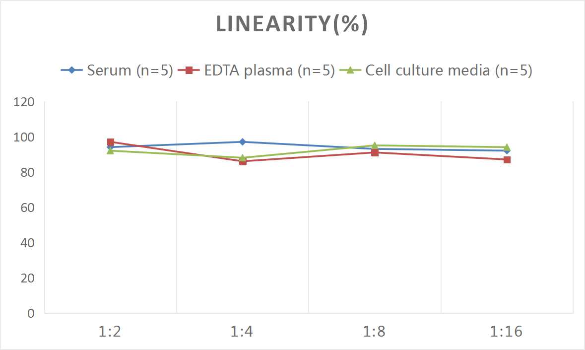 Human SPX ELISA Kit (Colorimetric)