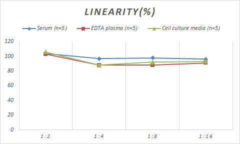 Human TATA binding protein TBP ELISA Kit (Colorimetric)