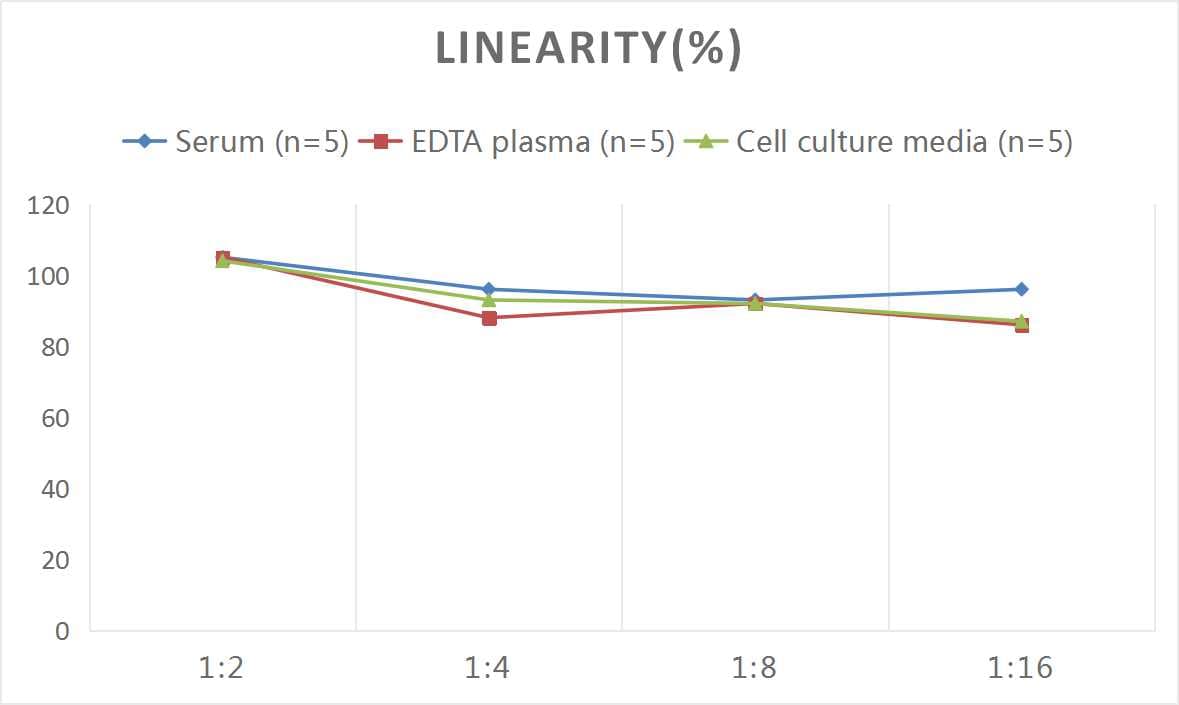 Mouse TDP-43/TARDBP ELISA Kit (Colorimetric)