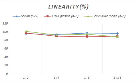 Mouse Transglutaminase 2/TGM2 ELISA Kit (Colorimetric)