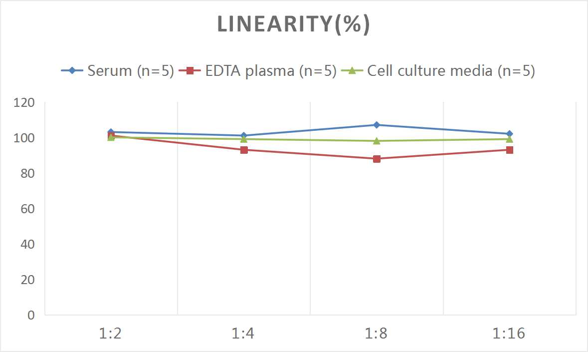 Rat TIMP-2 ELISA Kit (Colorimetric)
