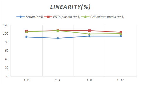 Rabbit Thrombomodulin/BDCA-3 ELISA Kit (Colorimetric)