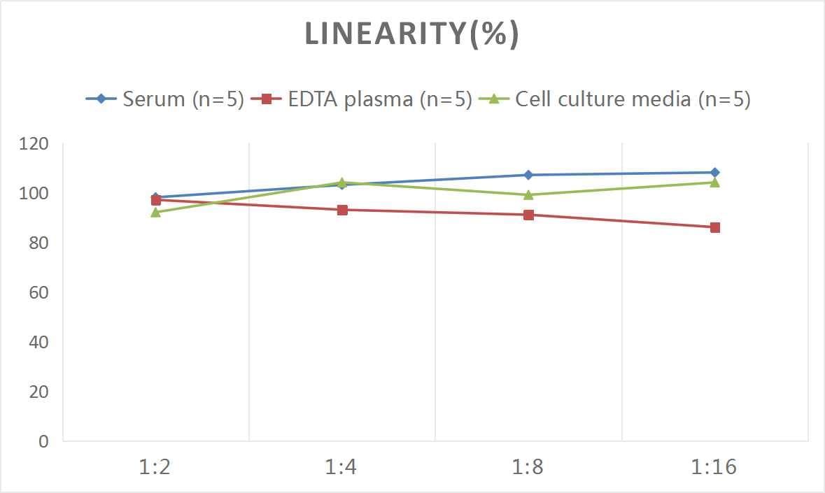 Rat VE-Cadherin ELISA Kit (Colorimetric)