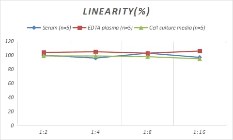 Porcine VIP ELISA Kit (Colorimetric)