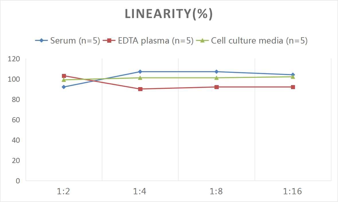Rat alpha-Fetoprotein/AFP ELISA Kit (Colorimetric)