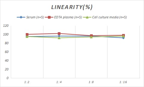 Rabbit TRACP/PAP/ACP5 ELISA Kit (Colorimetric)