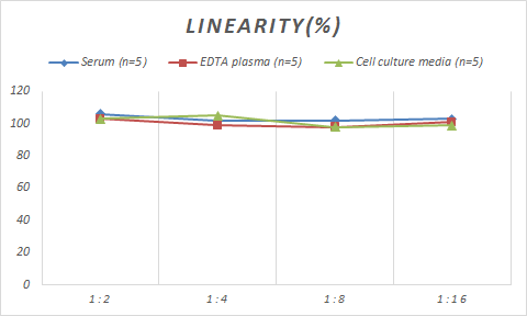 Monkey AGER ELISA Kit (Colorimetric)
