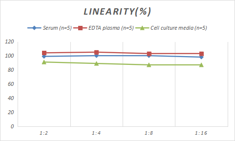 Rabbit Serpin A8/Angiotensinogen ELISA Kit (Colorimetric)